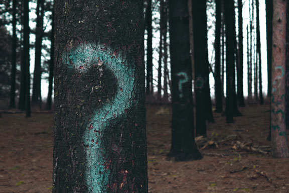 Forest trees marked with question marks